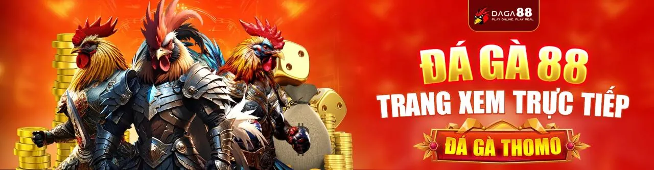 nextbet casino môi trường bảo mật dữ liệu theo GDPR